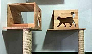 patilee-kedi-konaklama-06